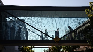 Foirm &eacute;ir&iacute; as an Ollscoil