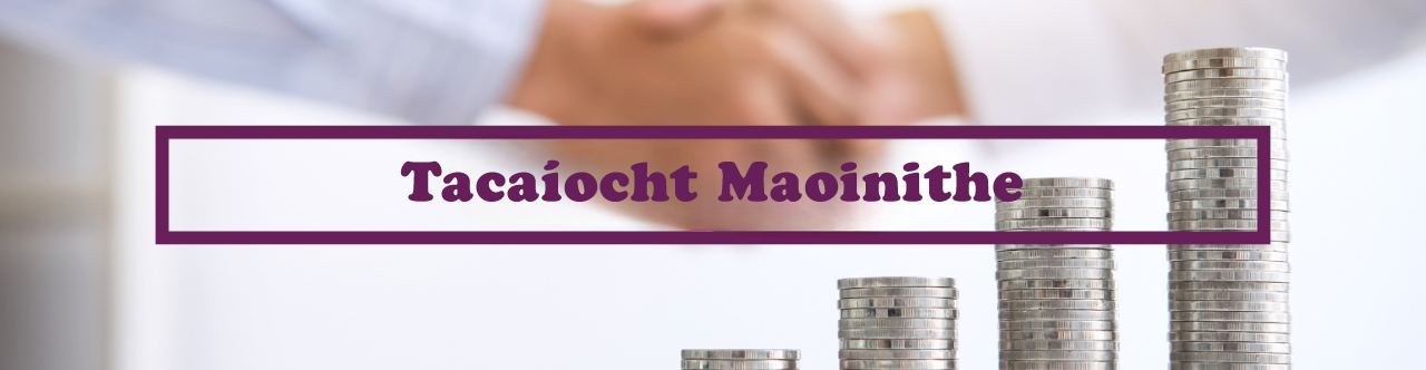 Tacaíocht Maonithe