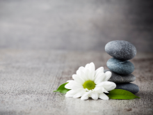 Foll&aacute;ine & Plean&aacute;il Saoil