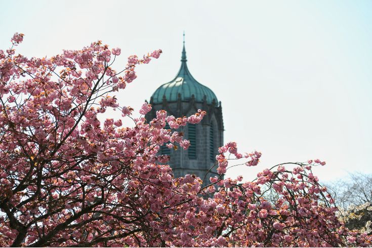 Strait&eacute;is agus Polasa&iacute; Inbhuanaitheachta