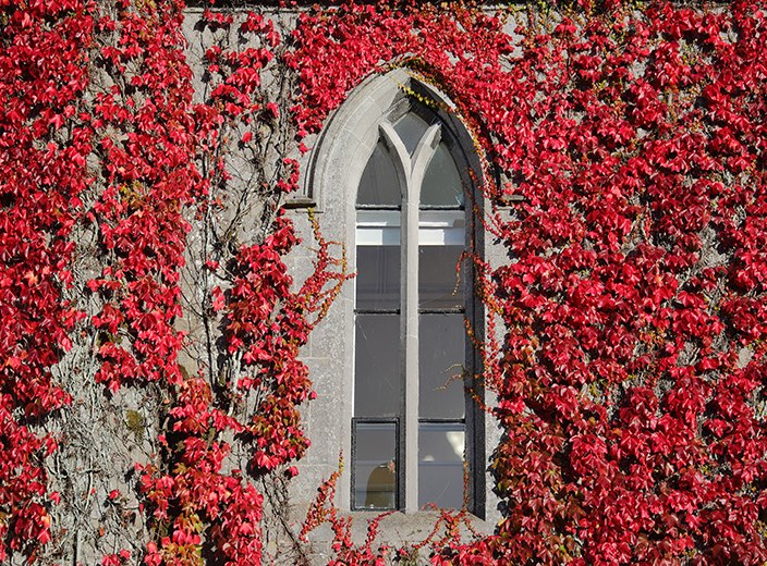 Gn&iacute;omha&iacute;ochta&iacute; & Imeachta&iacute; at&aacute; ag teacht an&iacute;os