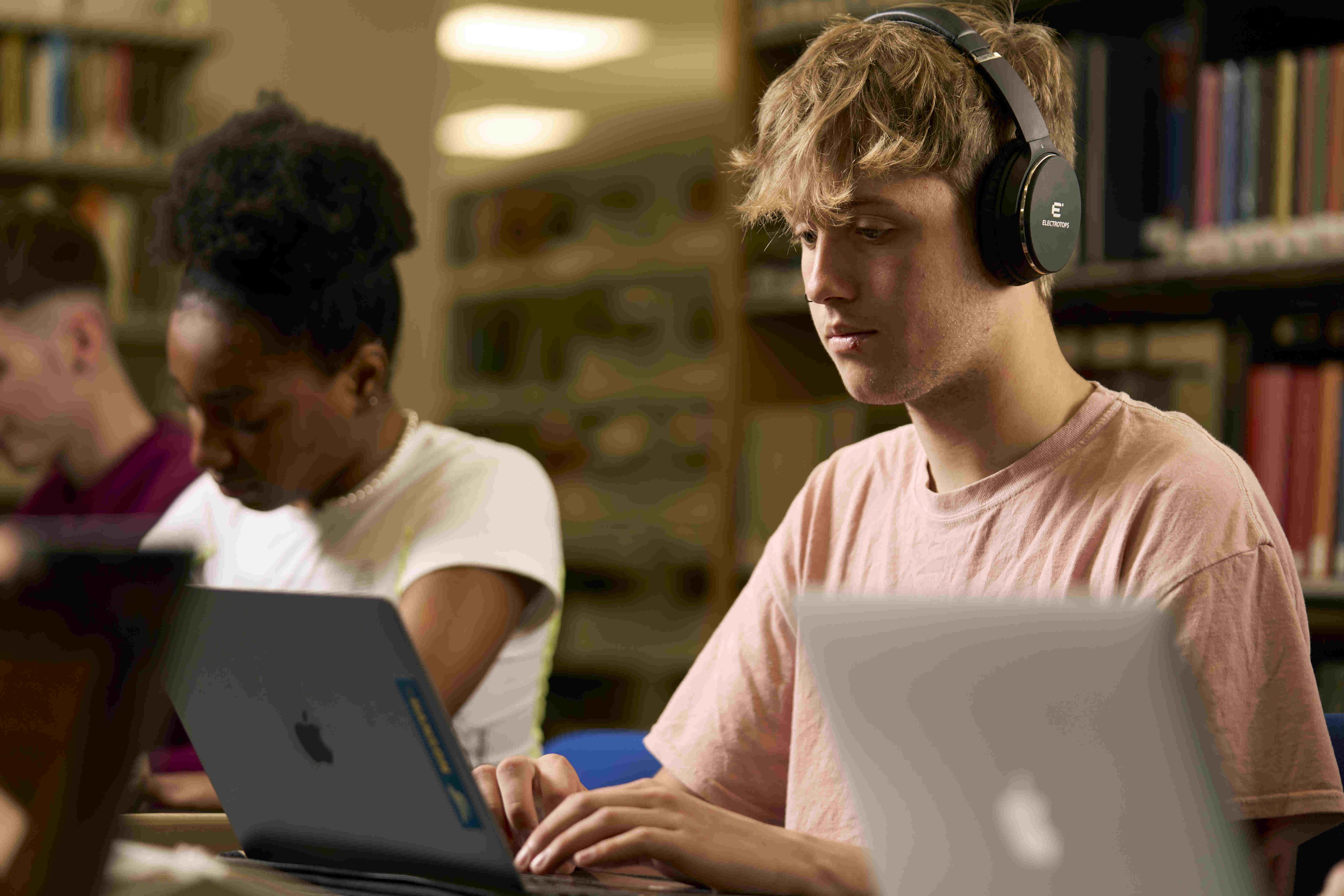 An tSeirbh&iacute;s Taca&iacute;ochta M&iacute;chumais