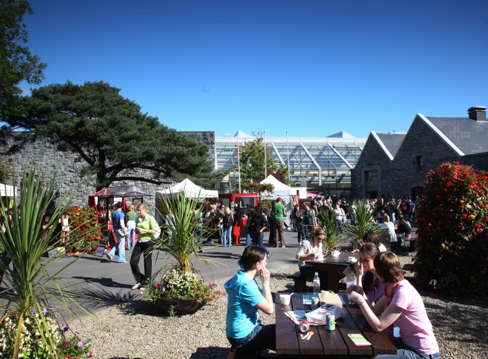 Sl&aacute;inte agus Foll&aacute;ine