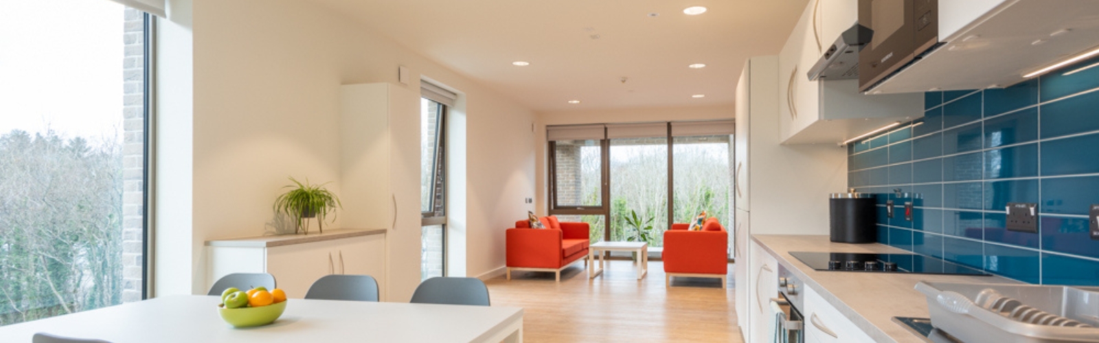 An tSeirbh&iacute;s Chomhairleach L&oacute;ist&iacute;n